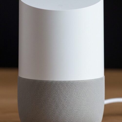 Google Home AI