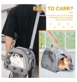 cat travel bag