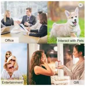 dog communication tool