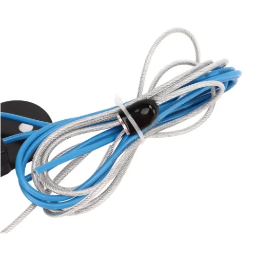 RV electric brake switch