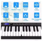 semi-weighted keys piano