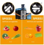 best home juicer 2026