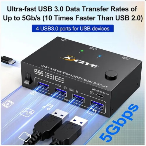 dual computer switch