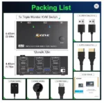 dual computer switch