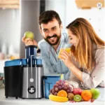 wide chute juicer multifunctional fruit extractor