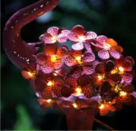 Outdoor Decorative Lights