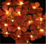 Solar Powered Lights