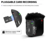 dual mic system