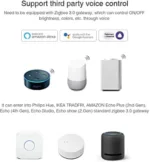 Google Home LED Controller