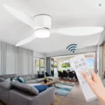 remote control fan