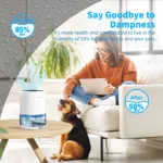 Dehumidifier Price in Pakistan – ALROCKET Mini Portable Dehumidifier for Home before and after