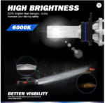 12V 24V LED bulb