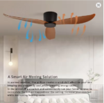 ceiling fan without light